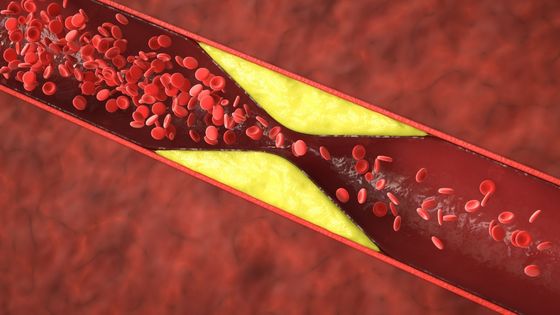 I migliori integratori per abbassare il colesterolo